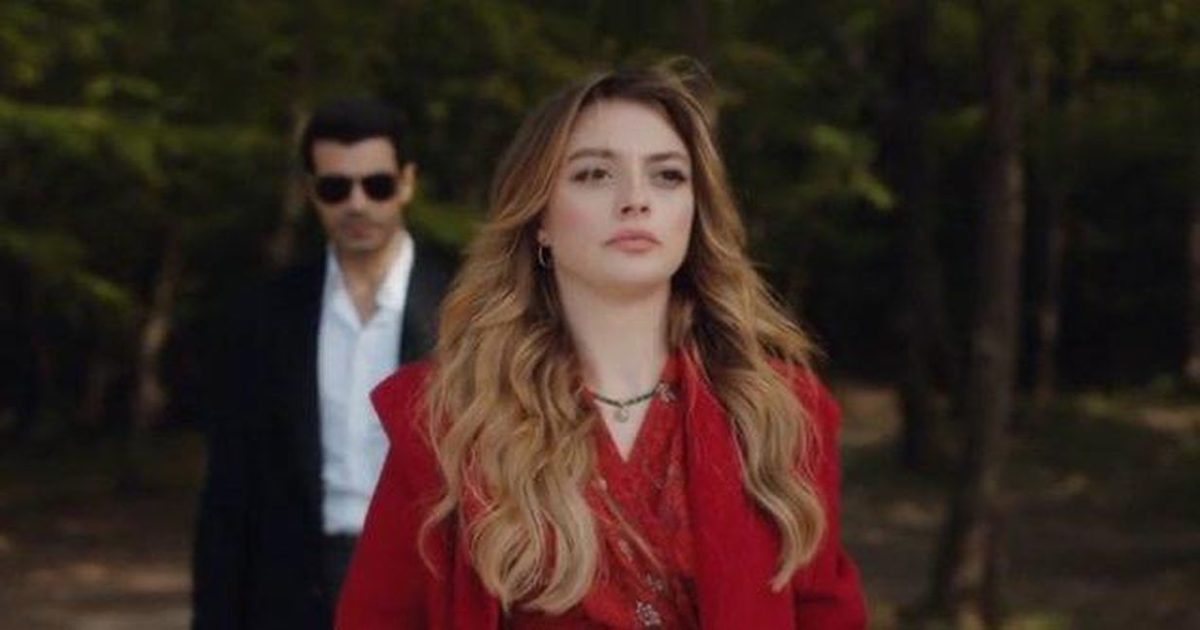 La rosa della vendetta: Gulcemal tradita! Shock per Zafer in arrivo! Cosa succederà? Scopri le anticipazioni!