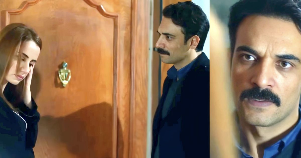 Endless love: rivelazione scioccante di Zehir a Zehra nella 2° stagione – Il dramma del figlio morto sconvolge la coppia.