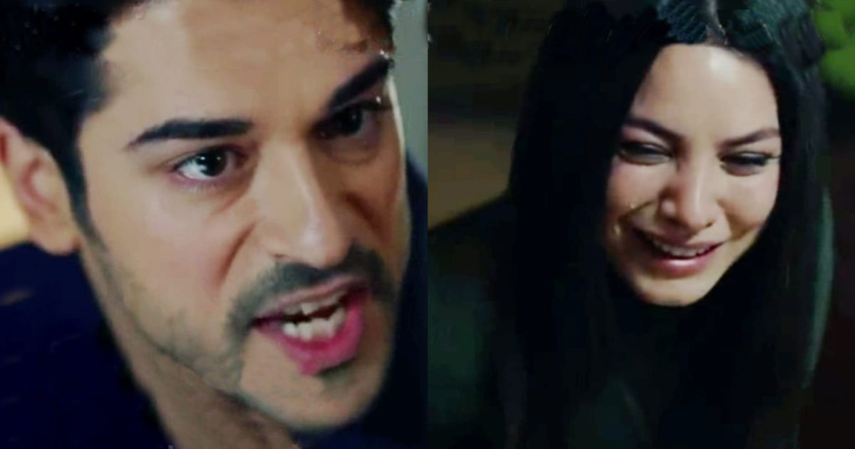 Endless Love, anticipazioni 6/11: Kemal provoca Zeynep dicendo che vorrebbe non fosse mai nata, creando tensione tra i due. Situazioni drammatiche in arrivo.