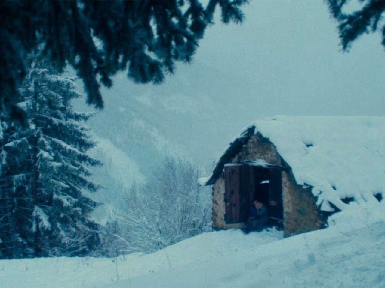 Vermiglio, Jane Campion elogia il film di Maura Delpero in una lettera aperta evidenziando il suo incanto.