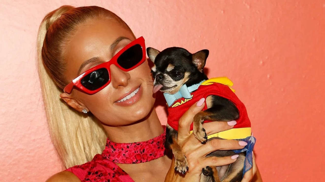 Paris Hilton al rifugio per animali come volontaria durante gli incendi a Los Angeles